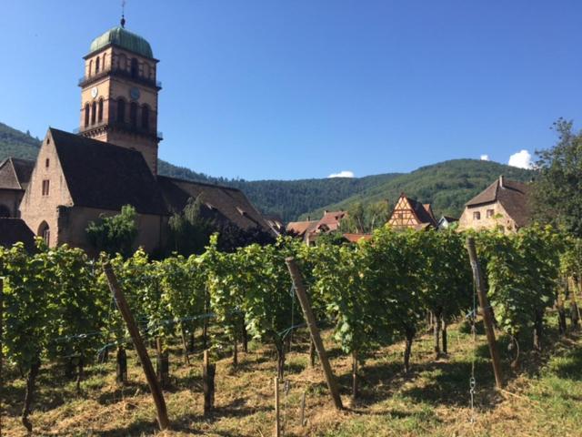 Appartement Au Charme Alsacien Kaysersberg-Vignoble Exterior photo