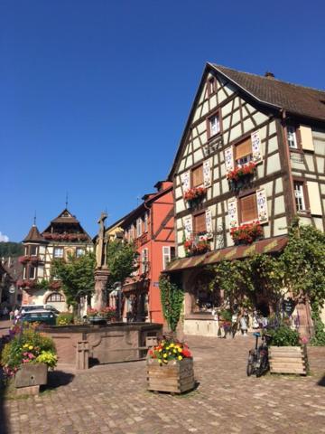 Appartement Au Charme Alsacien Kaysersberg-Vignoble Exterior photo