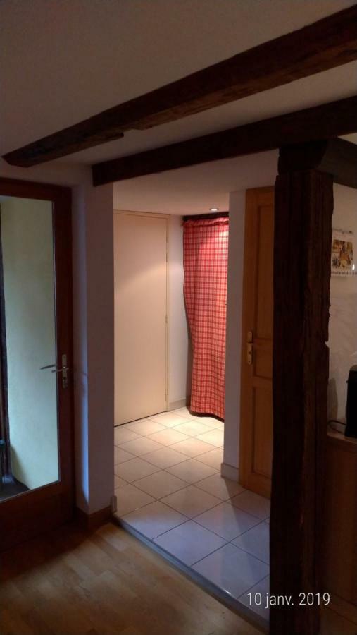 Appartement Au Charme Alsacien Kaysersberg-Vignoble Exterior photo